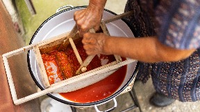 Nagrada za prženje ajvara